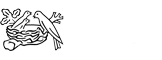 transformation numérique
