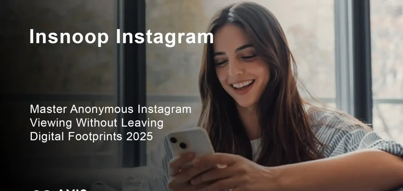 InSnoop instagram anonymous Instagram story viewer interface dashboard tutorial