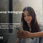 InSnoop instagram anonymous Instagram story viewer interface dashboard tutorial
