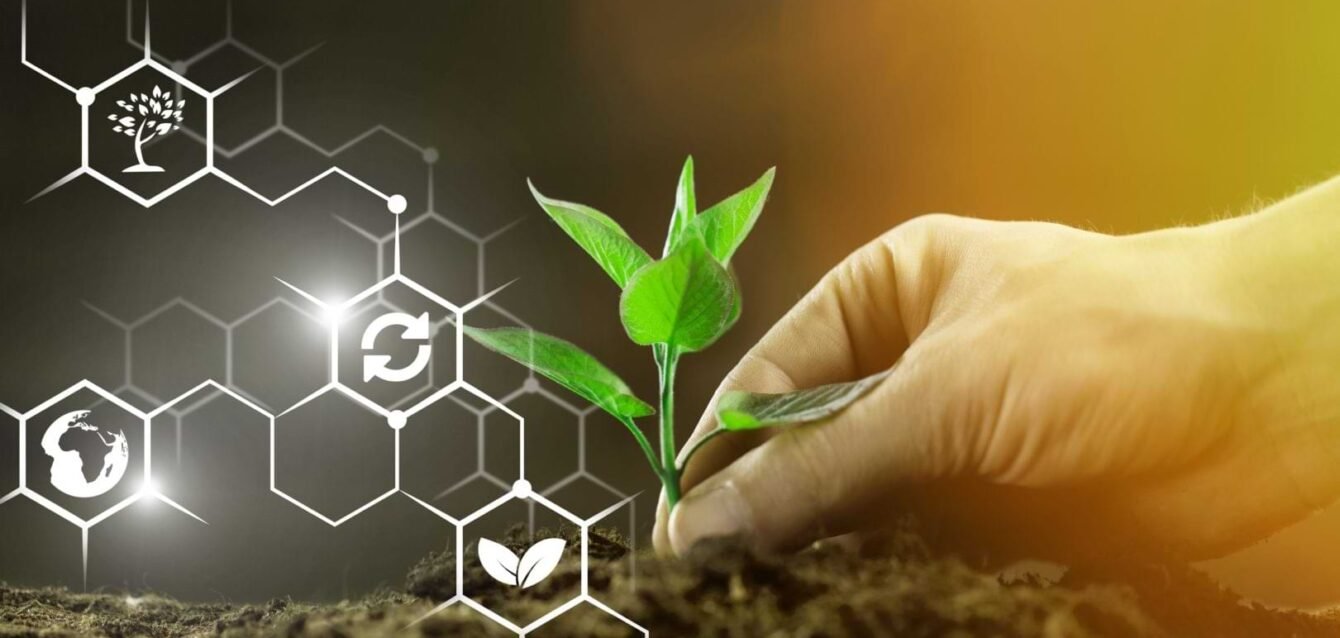 Agricultural Biotechnology Performance and Market Dynamics: Yield, Economics, and Consumer Choice