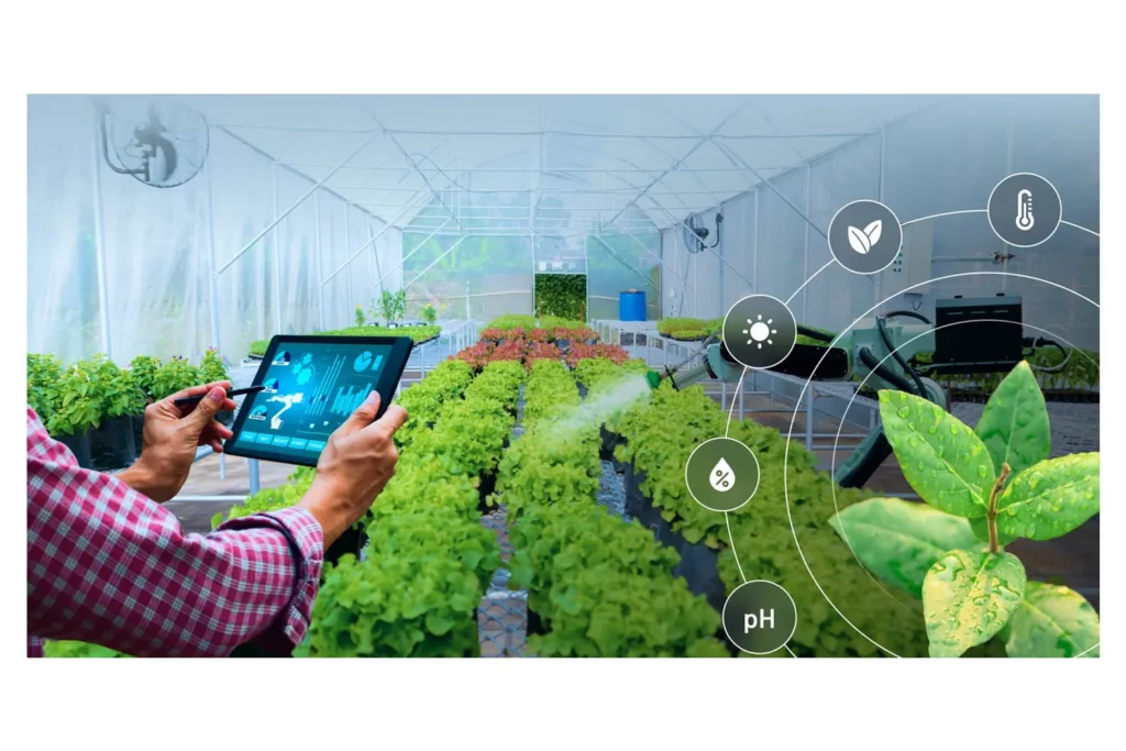Soluciones de IA e IoT para la industria agroalimentaria | Agritech Solutions 1 agritech-solutions-AI-in-agriculture-food-traceability-technology
