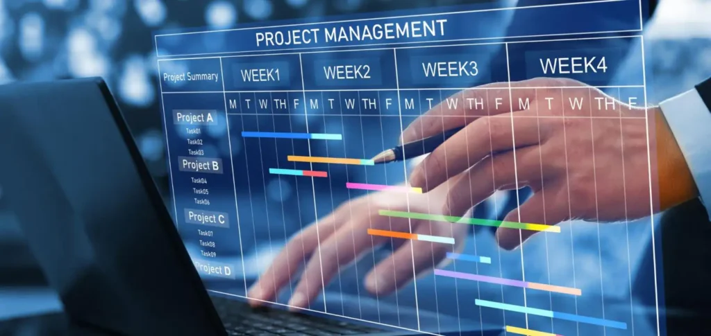 ROI calculation framework for project management software selection