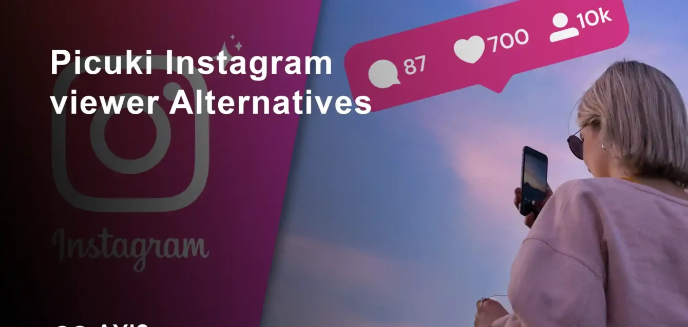 Picuki Instagram alternatives Instagram Story viewer Picuki alternatives comparison chart 2025 showing Dumpor Inflact StoriesIG success rates Instagram viewer tools ranking