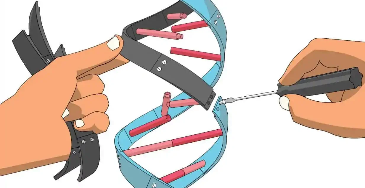 Agricultural Biotechnology Risk Assessment: From Asilomar to Modern Biosafety Frameworks