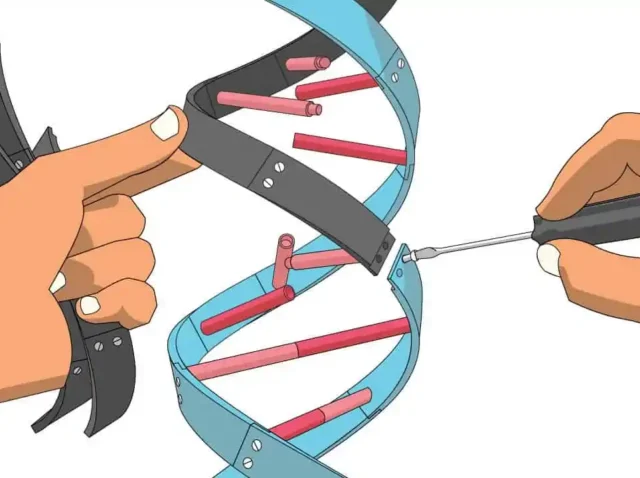 Agricultural Biotechnology Risk Assessment: From Asilomar to Modern Biosafety Frameworks