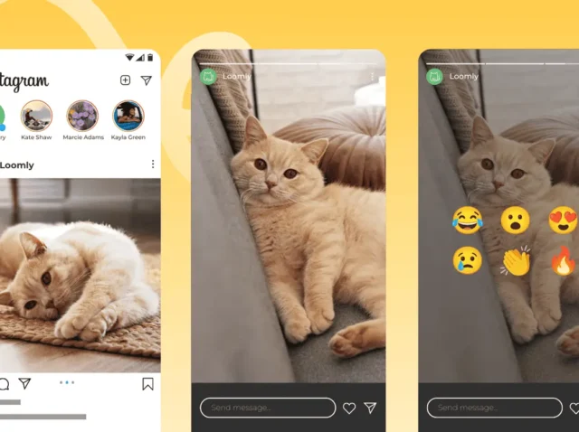 How to View Instagram Stories in 2026 (Including Anonymously)